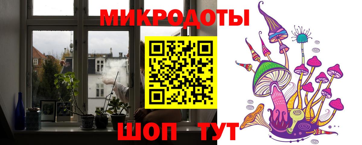 Псилоцибиновые грибы Psilocybine cubensis Кумертау