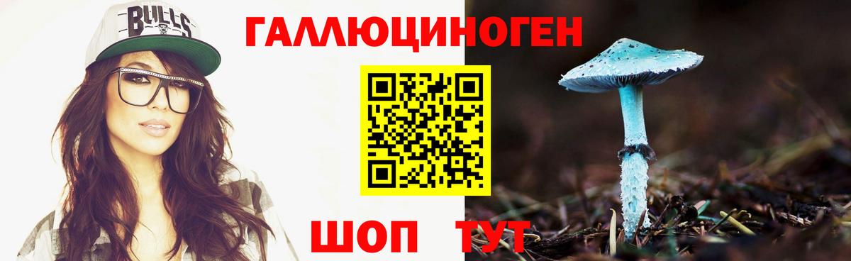 Псилоцибиновые грибы Psilocybine cubensis  Вход с VPN  Кумертау 